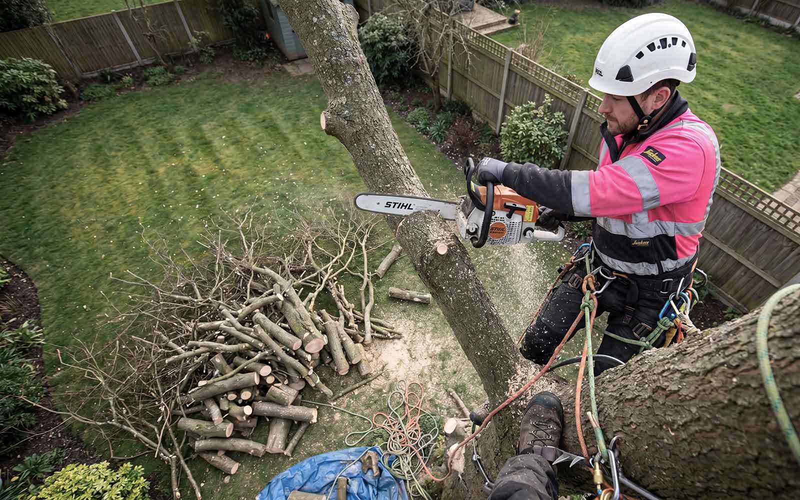 Down to Earth Tree Surgery Work