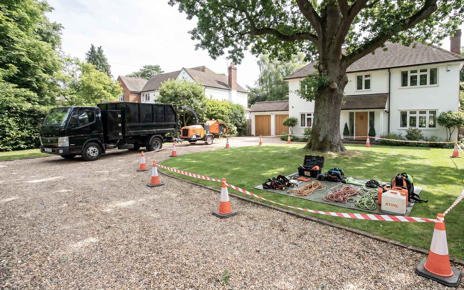 Down to Earth Tree Surgery Work