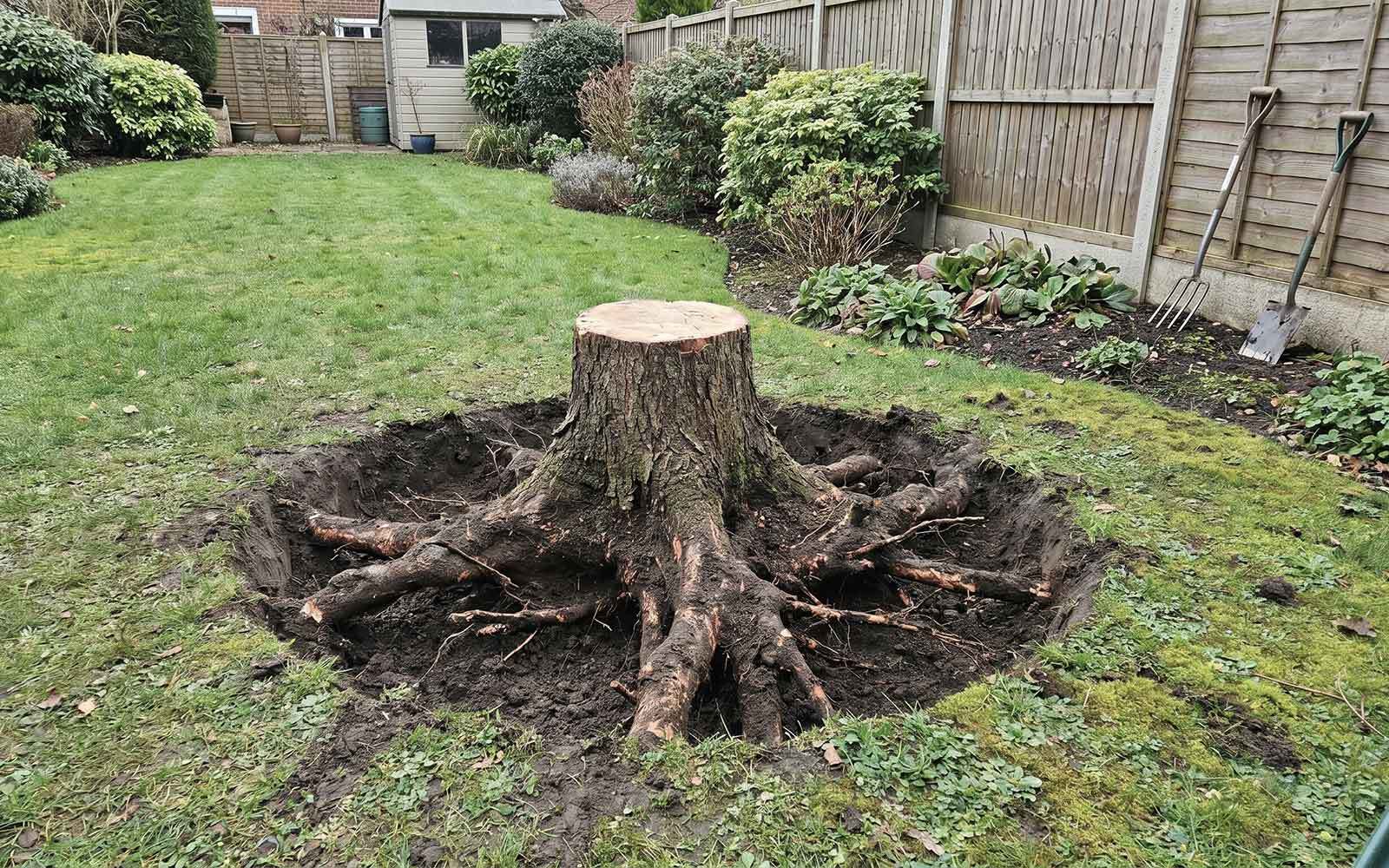 Down to Earth Tree Surgery Work